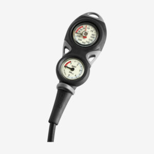 Gauge Mission
